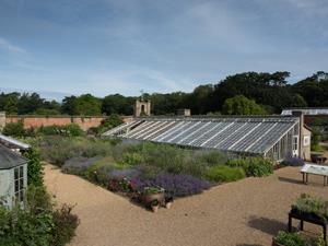 Holkham Walled Garden in west Norfolk.