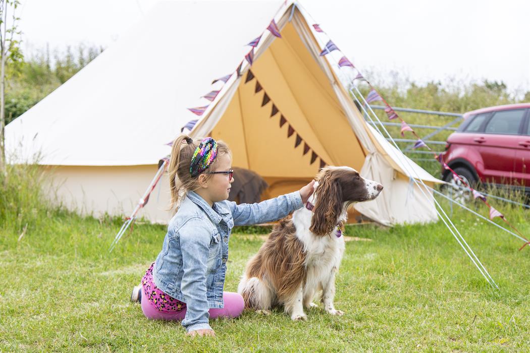 Our dog friendly glamping bell tents are perfect for a short stay by the beach with your pets