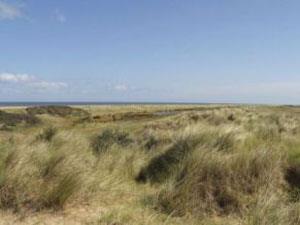 Holme next the sea beach in west Norfolk.