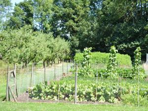 The garden at Congham Hall Hotel in west Norfolk.