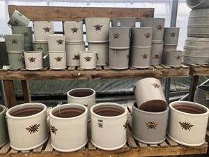 Plant pots at Goldings Feeds and Nursery