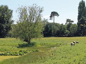 The village of Ingoldisthorpe in west Norfolk.