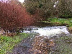 Gooderstone Water Gardens