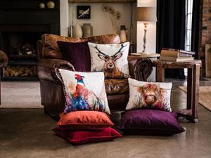 Cushions for sale at Reeds Homestore in Downham Market, west Norfolk.