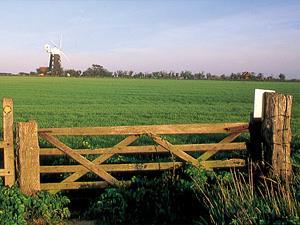 A village scene from Burnham Overy Staithe.