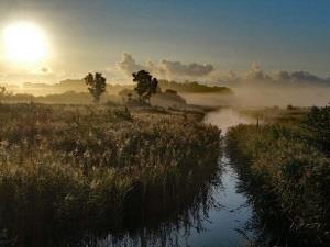 Sculthorpe Moor Community Nature Reserve in west Norfolk.