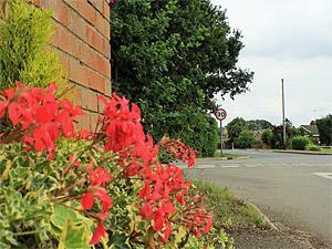 The tranquil village of Runcton Holme in west Norfolk.