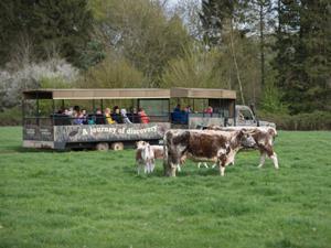 Safaris at Pensthorpe Natural Park, west Norfolk.