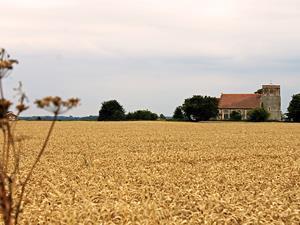 Across the fields at West Dereham, west Norfolk.