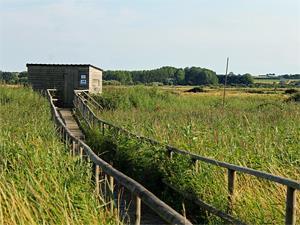 A birdwatcher's hide at Holme-next-the-sea in west Norfolk.
