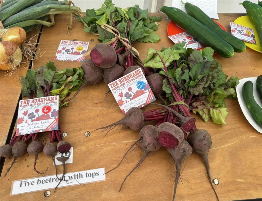 Images of Burnhams Flower Show and Fete