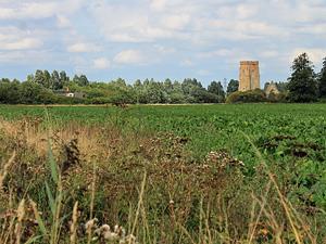 A scenic landscape at Tilney All Saints in west Norfolk.