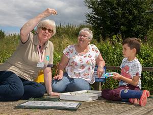 Pond Dipping