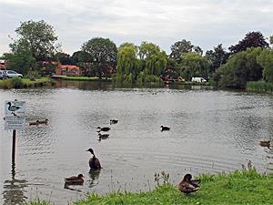 The village pond at Great Massingham, west Norfolk.