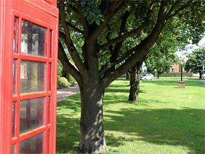 The village green and telephone box in North Wootton, west Norfolk.