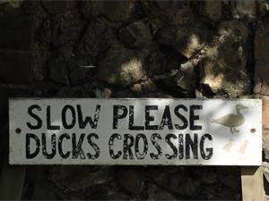 The charming village of Docking with a sign 