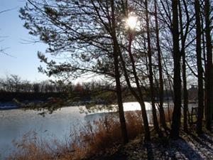 Tranquil surroundings at Virginia Lake Caravan Park