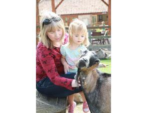 A mother and daughter petting the animals at Church Farm Stow Baldolph, West Norfolk.