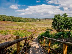 Dersingham Bog, West Norfolk