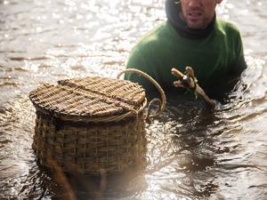 Forage and preparation of food from west Norfolk waters,