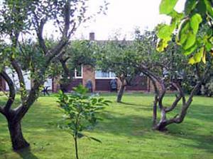 The green space area at Brook Bungalow in Hunstanton.
