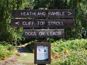 Signposting near Dersingham Bog in west Norfolk.