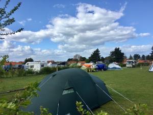 Grass hedged pitches at Deepdale Camping