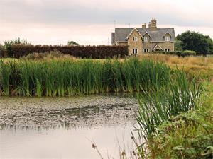 A village pond at North Runcton, west Norfolk.