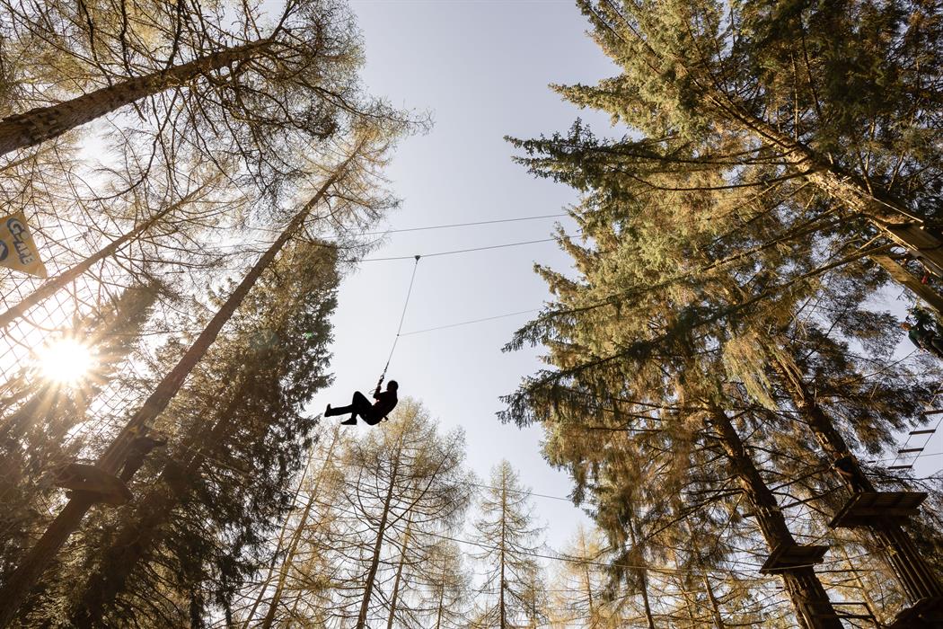 Go Ape Dalby Forest - Discover Yorkshire Coast