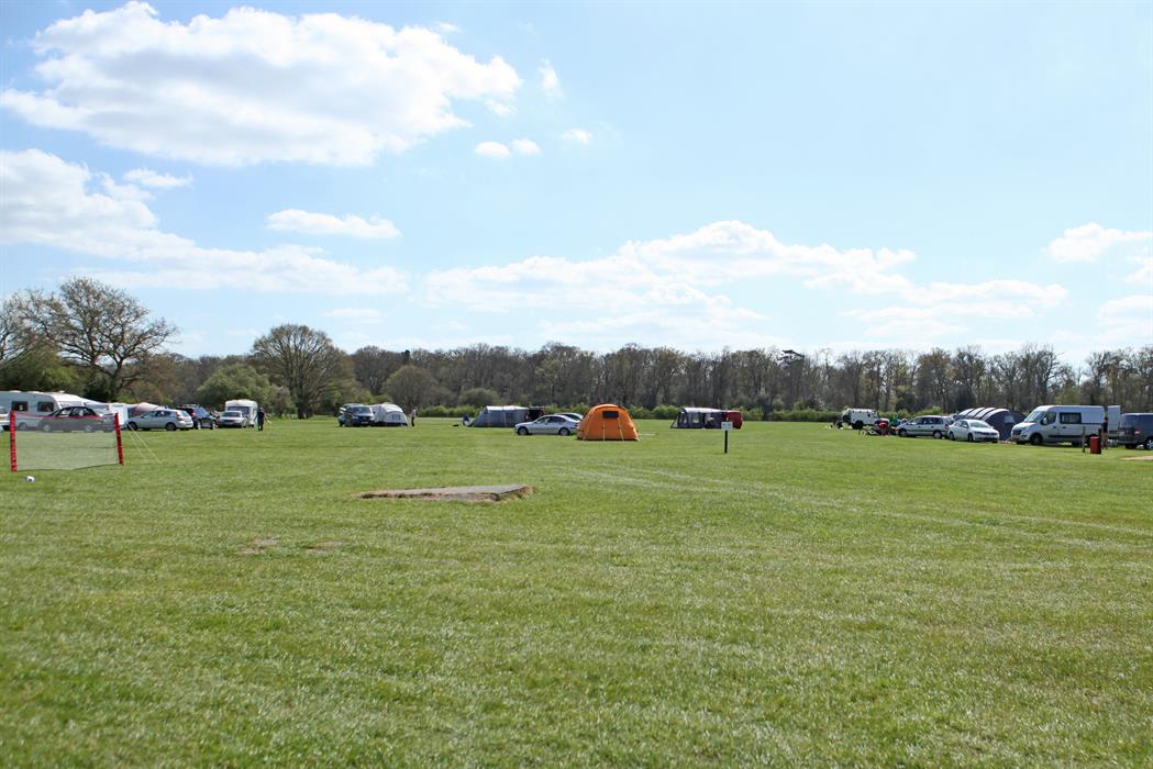 Campsites in the new forest with electric hook up best sale