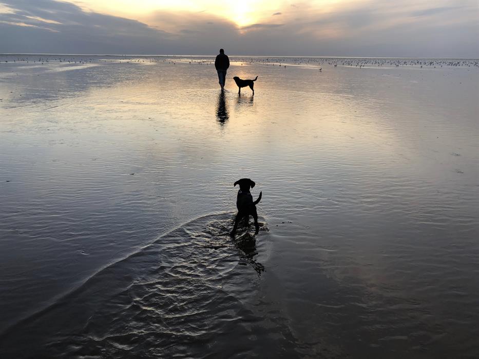 Hunstanton Camping Vast shallow seas great for dogs to splash