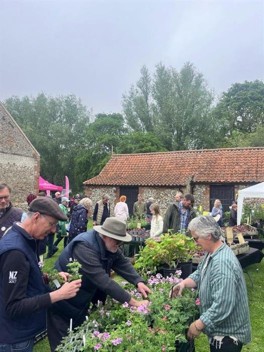 Three photos showing people buying plants at the Creake Abbey Plant Lovers' Day