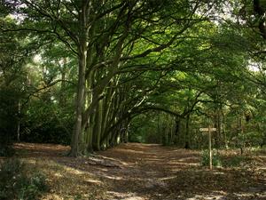 Snettisham Village – Visit West Norfolk