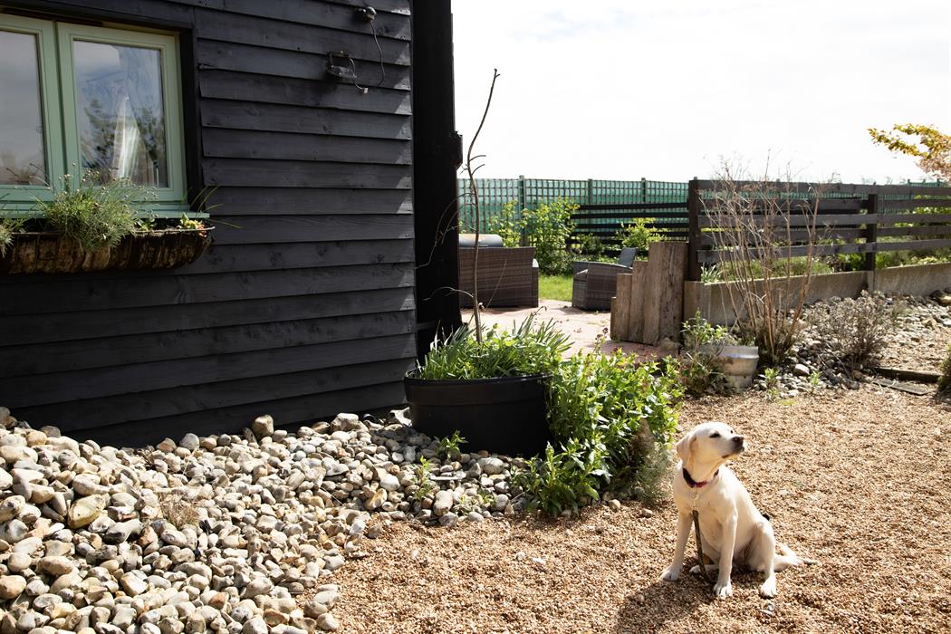 view of the garden in the dairy