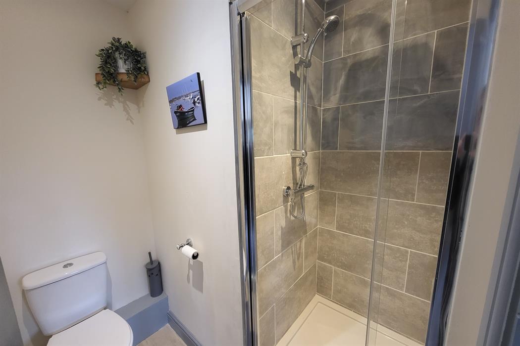 downstairs wc in the dairy