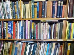A close-up of a shelf of books at Torc Books.