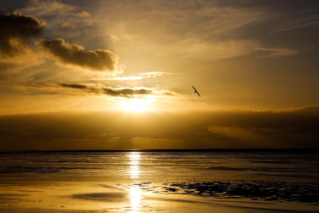 Stunning sunsets over the sea