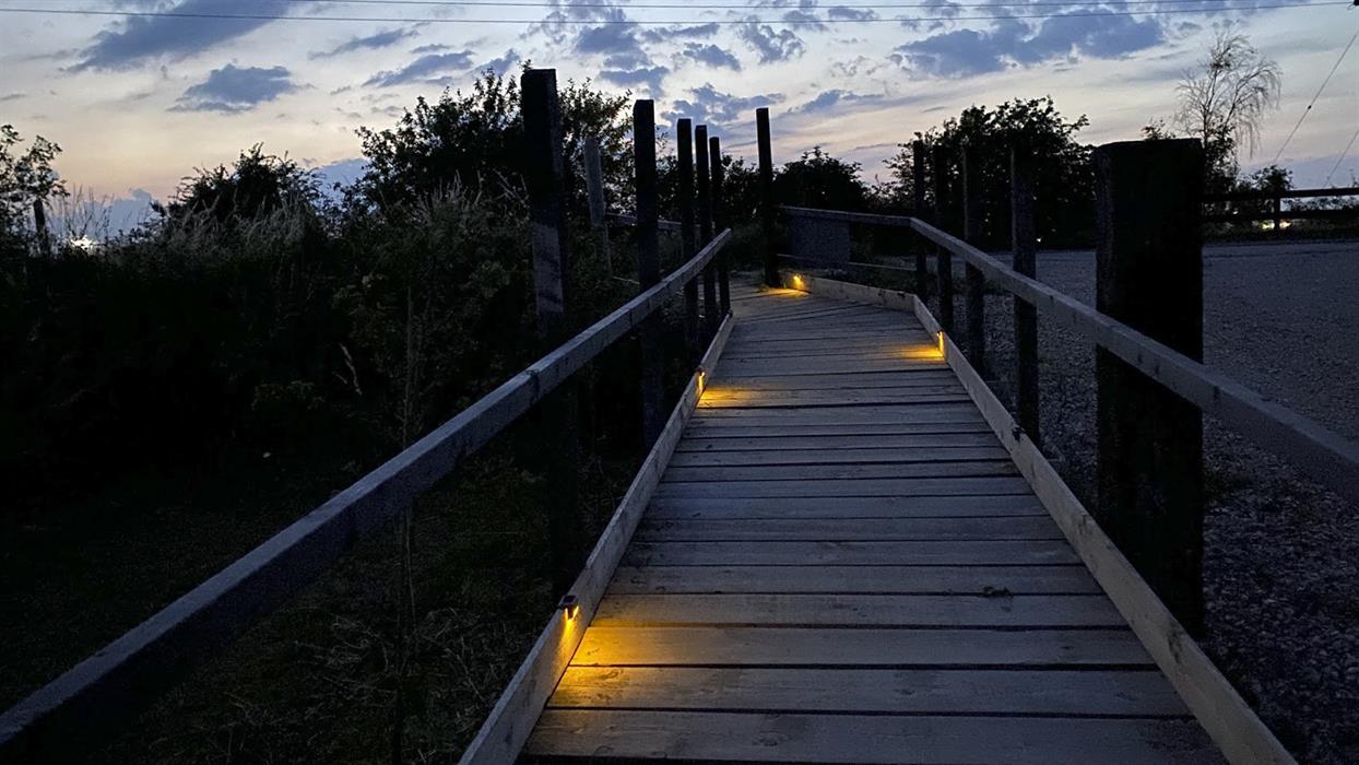 Boardwalk to the Beach