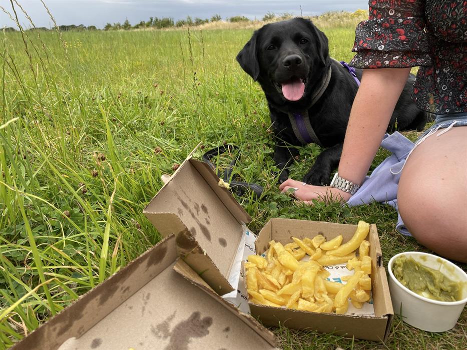 Hunstanton Camping Local Chippy Sharing with the Dogs