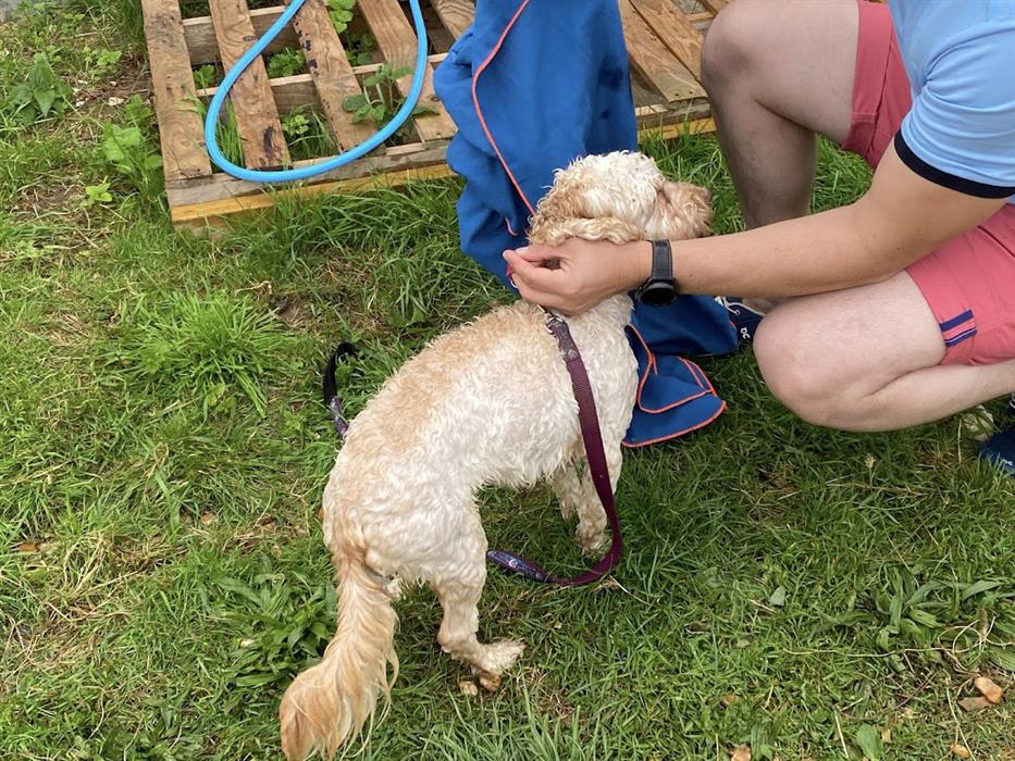 Hunstanton Camping Dog Shower Onsite