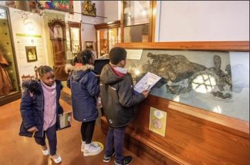 Image of  three children looking at a dinosaur skeleton in a glass display case.