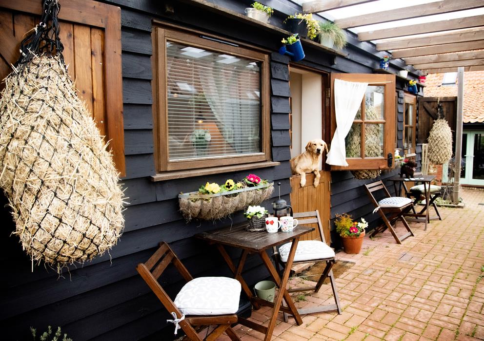 Dog friendly chalets by the beach