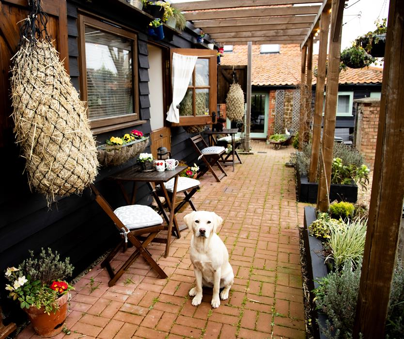 Dog friendly chalets by the beach