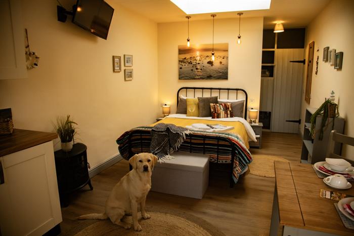dog friendly chalets by the beach
