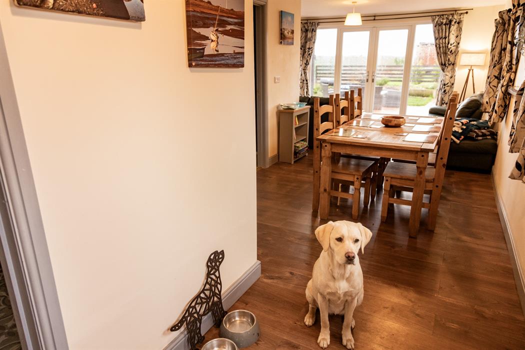 open plan living and dinning area in the dairy