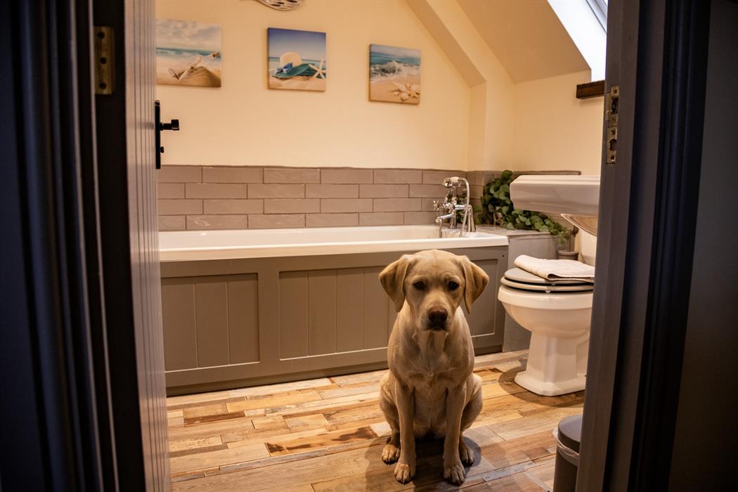 family bathroom in the dairy