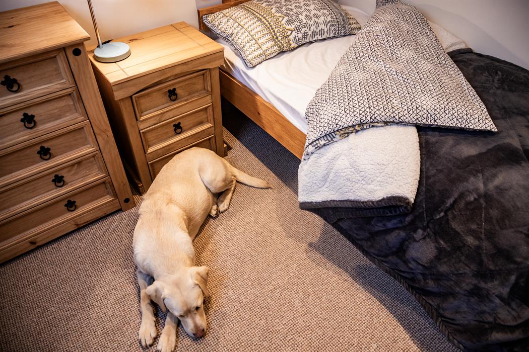 single bedroom in the dairy